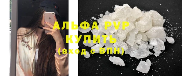 сатива Балахна