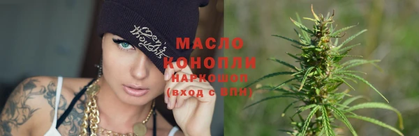 сатива Балахна