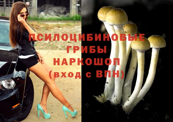 ешки Баксан