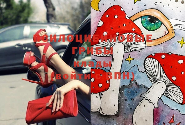 сатива Балахна