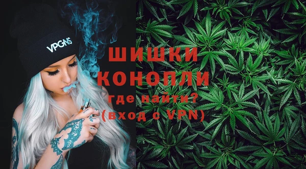 сатива Балахна