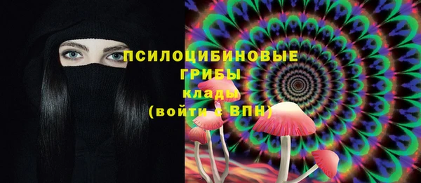 сатива Балахна