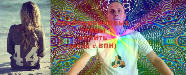 дживик Семилуки