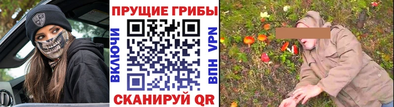 Псилоцибиновые грибы прущие грибы  где продают   Коммунар 